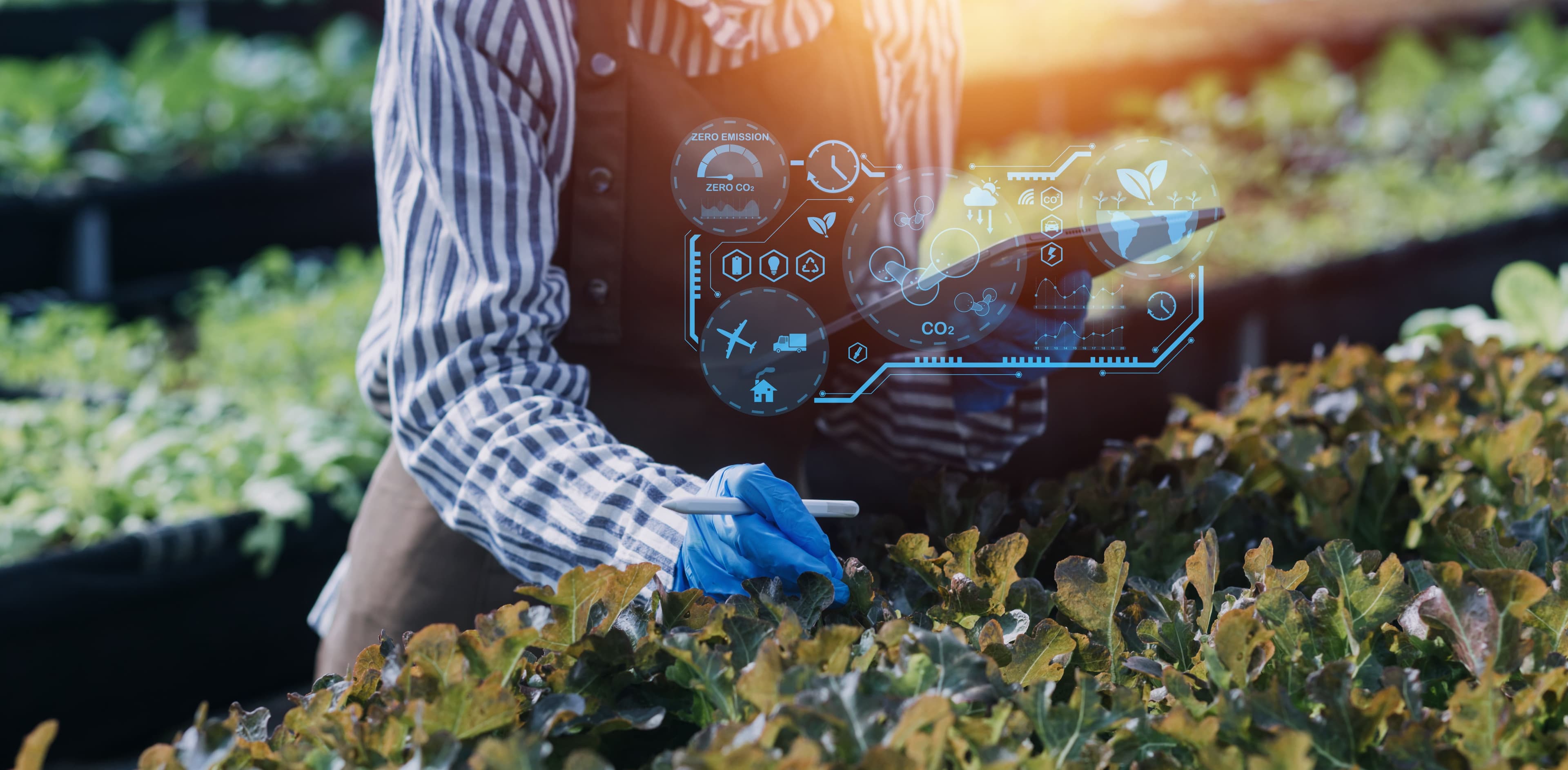 AI-Powered Agricultural Solutions