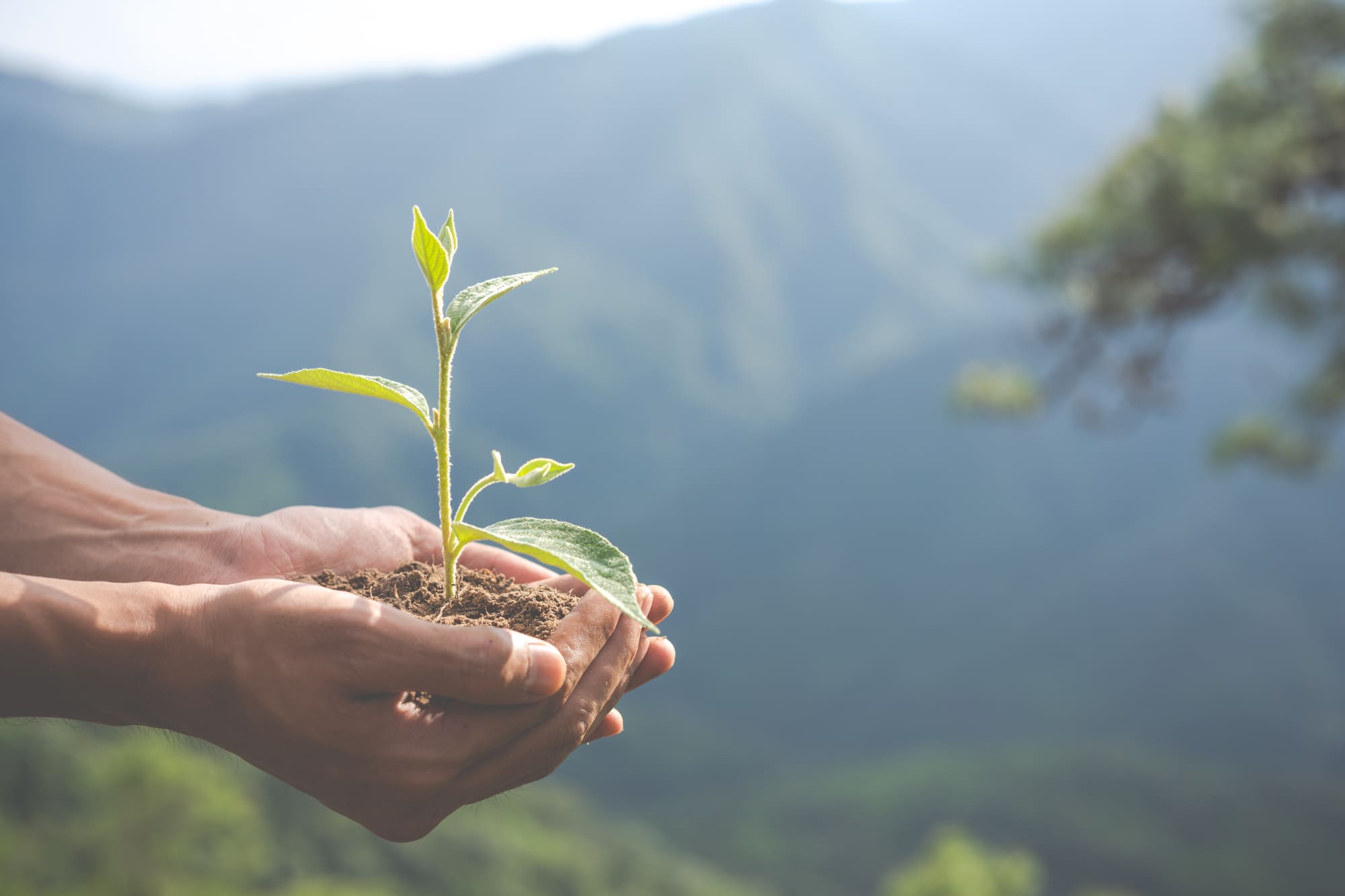 Sustainable Solutions